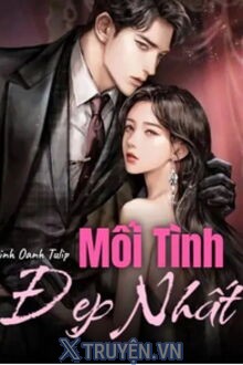 Mối Tình Đẹp Nhất